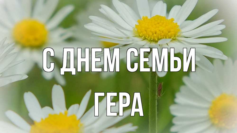 Открытка на каждый день с именем, Гера С днем семьи с днем семьи  1 Прикольная открытка с пожеланием онлайн скачать бесплатно 