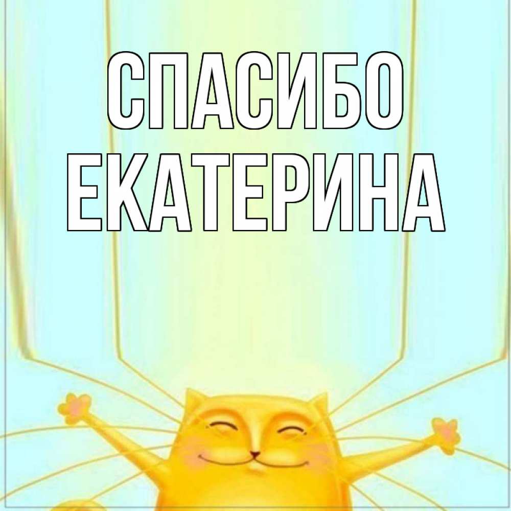 Открытка на каждый день с именем, Екатерина Спасибо кот с усами благодарит Прикольная открытка с пожеланием онлайн скачать бесплатно 