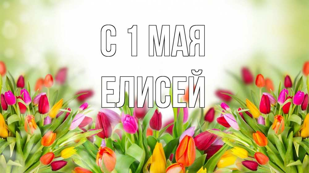 Открытка на каждый день с именем, Елисей С 1 мая С 1 мая Прикольная открытка с пожеланием онлайн скачать бесплатно 