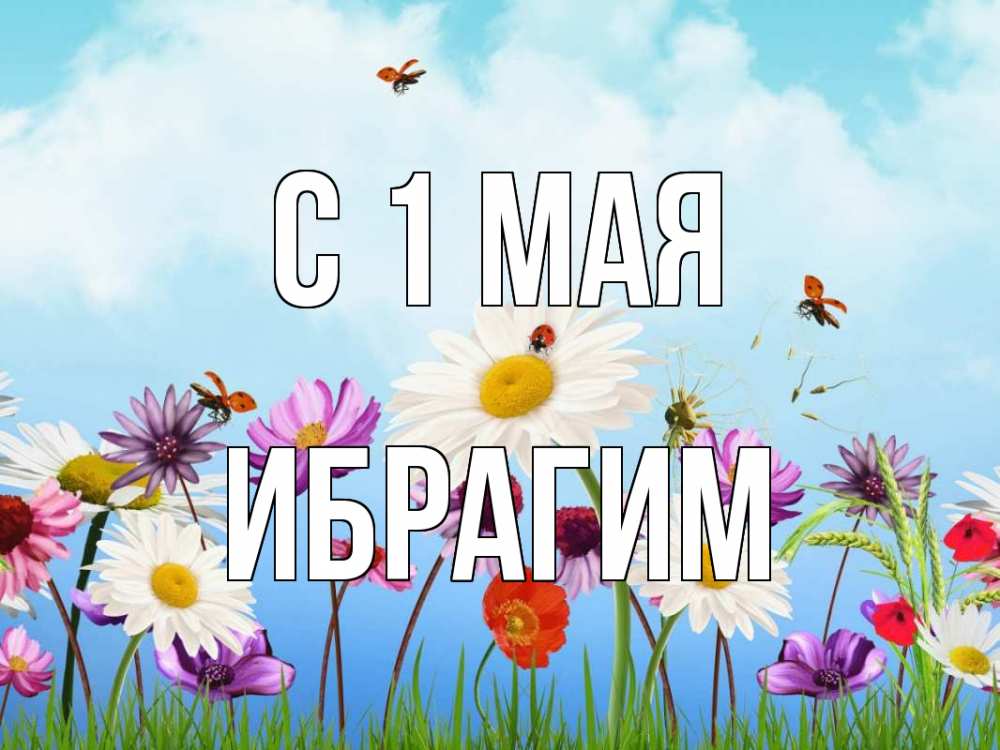 Открытка на каждый день с именем, Ибрагим С 1 мая С 1 мая Прикольная открытка с пожеланием онлайн скачать бесплатно 