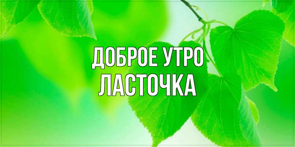 Открытка на каждый день с именем, Ласточка Доброе утро доброе утро с березовыми листьями Прикольная открытка с пожеланием онлайн скачать бесплатно 