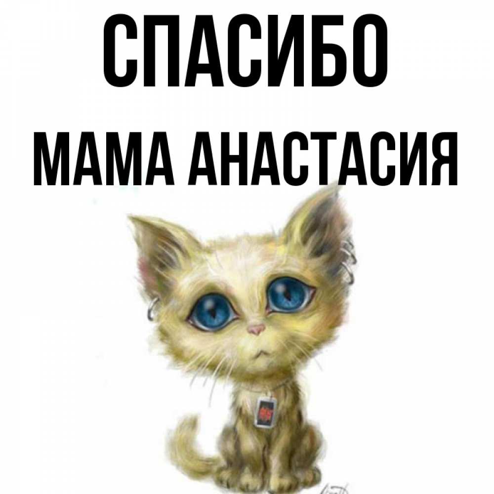 Открытка на каждый день с именем, Мама-Анастасия Спасибо рисованный кот благодарит вас Прикольная открытка с пожеланием онлайн скачать бесплатно 