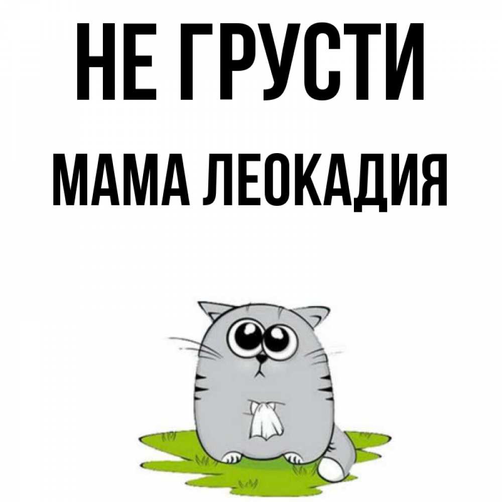 Открытка на каждый день с именем, Мама-Леокадия Не грусти грустный котяра Прикольная открытка с пожеланием онлайн скачать бесплатно 