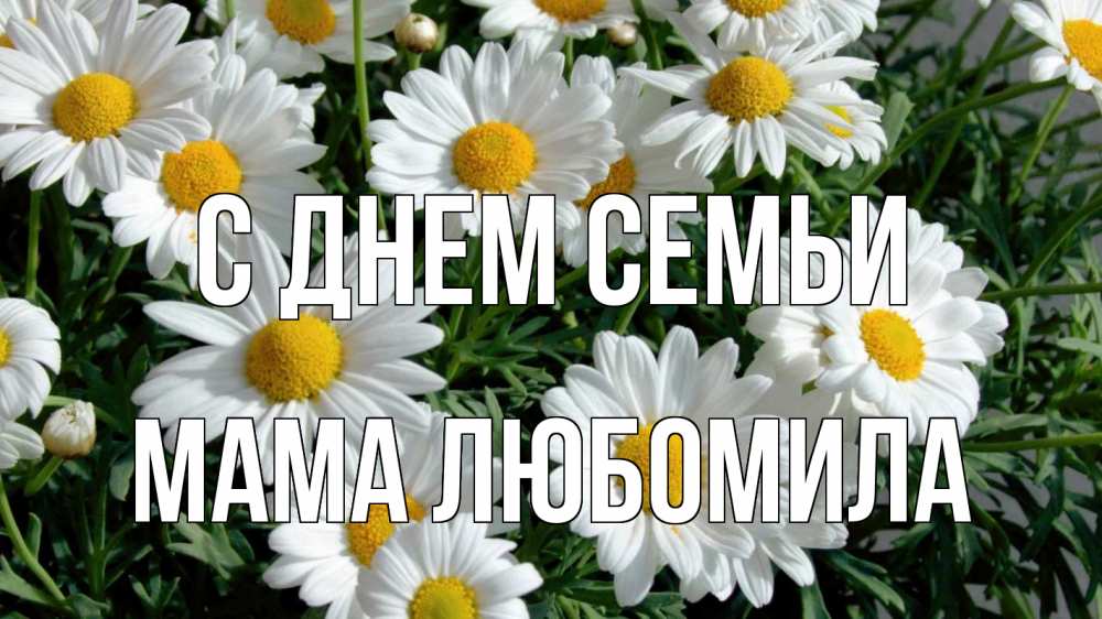 Открытка на каждый день с именем, Мама-Любомила С днем семьи с днем семьи Прикольная открытка с пожеланием онлайн скачать бесплатно 