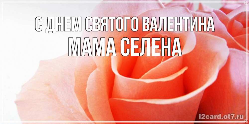 Открытка на каждый день с именем, Мама-Селена С днем Святого Валентина открытка на день Святого Валентина с розовой розой Прикольная открытка с пожеланием онлайн скачать бесплатно 