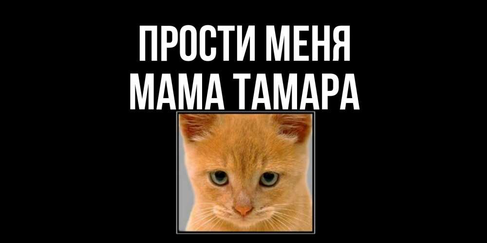 Открытка на каждый день с именем, Мама-Тамара Прости меня рыжий грустный кот просит прощения Прикольная открытка с пожеланием онлайн скачать бесплатно 