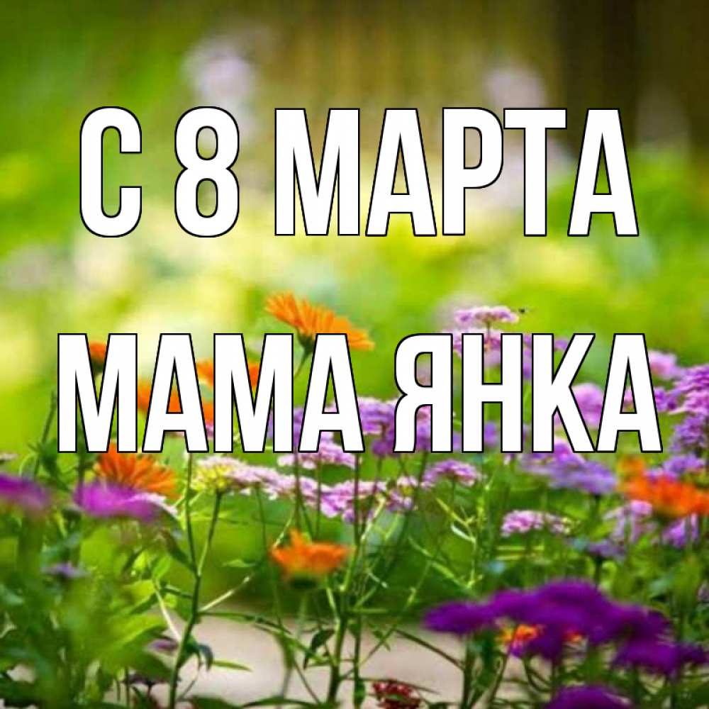 Открытка на каждый день с именем, Мама-Янка С 8 МАРТА цветы Прикольная открытка с пожеланием онлайн скачать бесплатно 