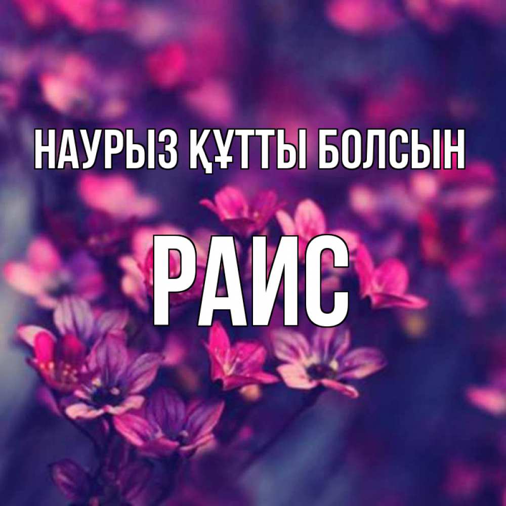 Открытка на каждый день с именем, Раис Наурыз құтты болсын небольшие цветы 1 Прикольная открытка с пожеланием онлайн скачать бесплатно 