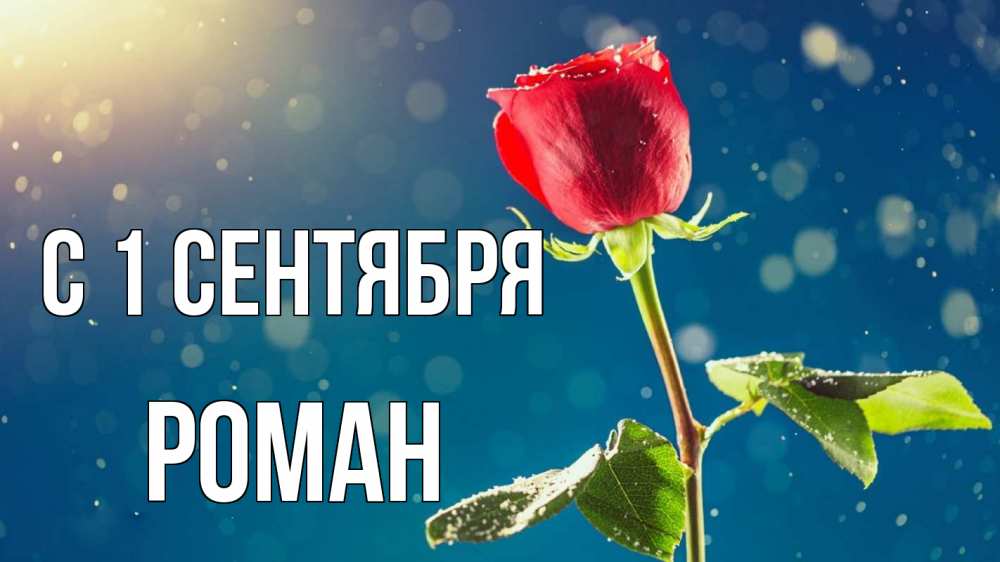 Открытка на каждый день с именем, Роман С 1 сентября с днем знаний Прикольная открытка с пожеланием онлайн скачать бесплатно 