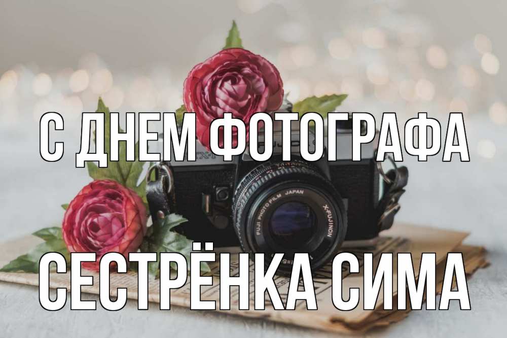 Открытка на каждый день с именем, Сестрёнка-Сима С днем фотографа с днем фотографа Прикольная открытка с пожеланием онлайн скачать бесплатно 