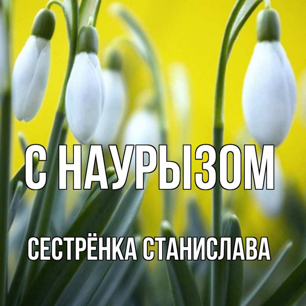 Открытка на каждый день с именем, Сестрёнка-Станислава С наурызом весенние цветы Прикольная открытка с пожеланием онлайн скачать бесплатно 