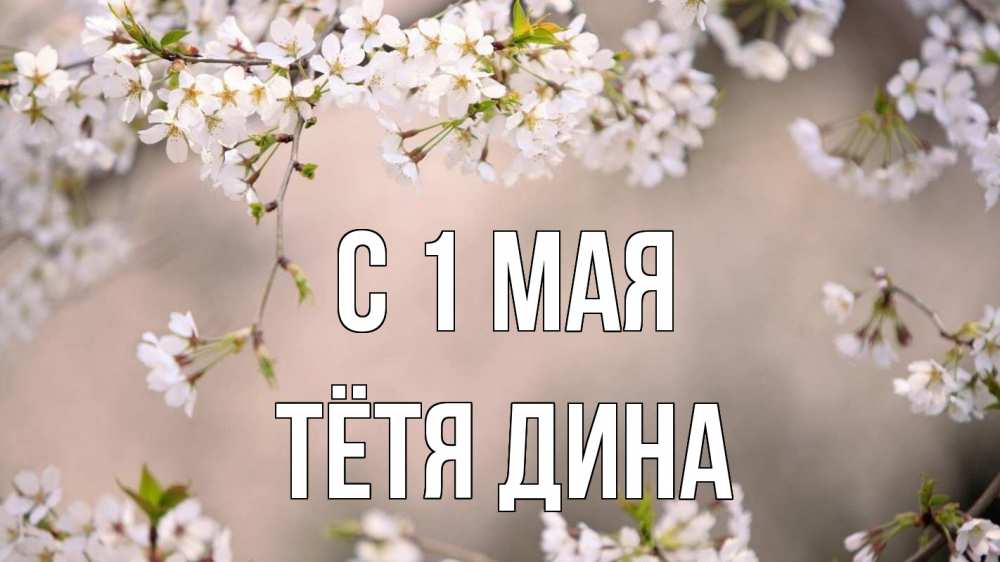 Открытка на каждый день с именем, Тётя-Дина С 1 мая С 1 мая Прикольная открытка с пожеланием онлайн скачать бесплатно 