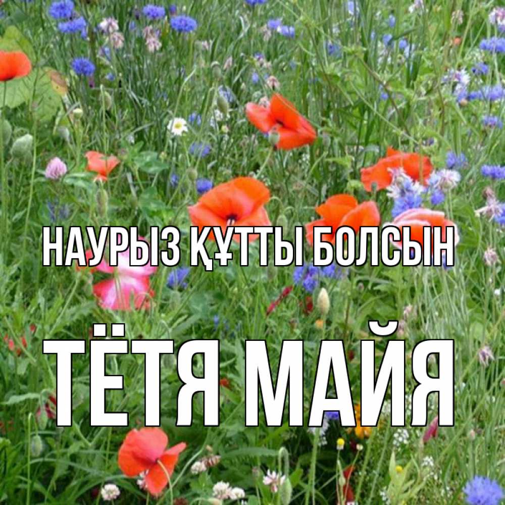 Открытка на каждый день с именем, Тётя-Майя Наурыз құтты болсын наурыз  4 Прикольная открытка с пожеланием онлайн скачать бесплатно 