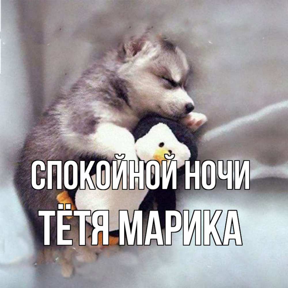Открытка на каждый день с именем, Тётя-Марика Спокойной ночи обнимашки щенка и пингвина Прикольная открытка с пожеланием онлайн скачать бесплатно 