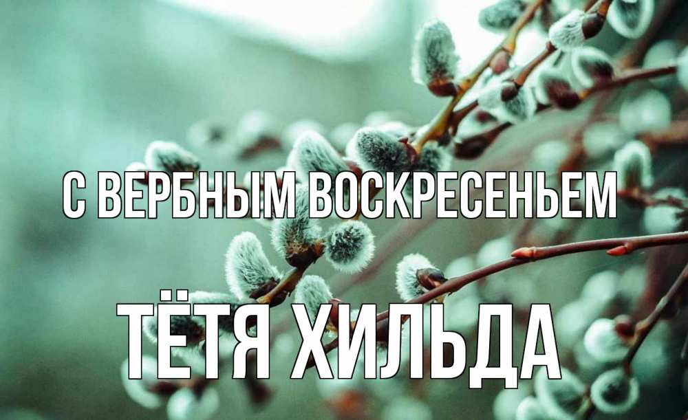 Открытка на каждый день с именем, Тётя-Хильда С вербным воскресеньем верба Прикольная открытка с пожеланием онлайн скачать бесплатно 