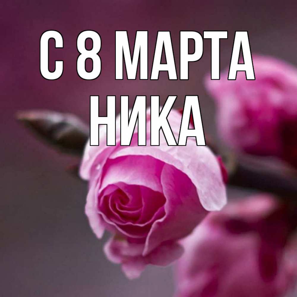 Открытка на каждый день с именем, Ника С 8 МАРТА весна Прикольная открытка с пожеланием онлайн скачать бесплатно 
