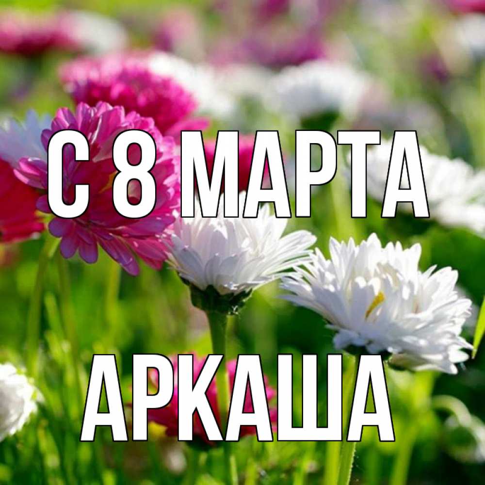 Открытка на каждый день с именем, Аркаша С 8 марта международный женский день 1 Прикольная открытка с пожеланием онлайн скачать бесплатно 
