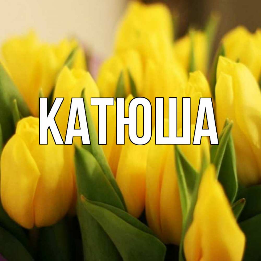 Открытка на каждый день с именем, Катюша Главная цветы Прикольная открытка с пожеланием онлайн скачать бесплатно 