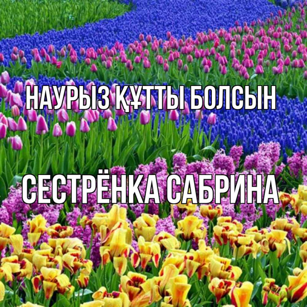 Открытка на каждый день с именем, Сестрёнка-Сабрина Наурыз құтты болсын цветы Прикольная открытка с пожеланием онлайн скачать бесплатно 