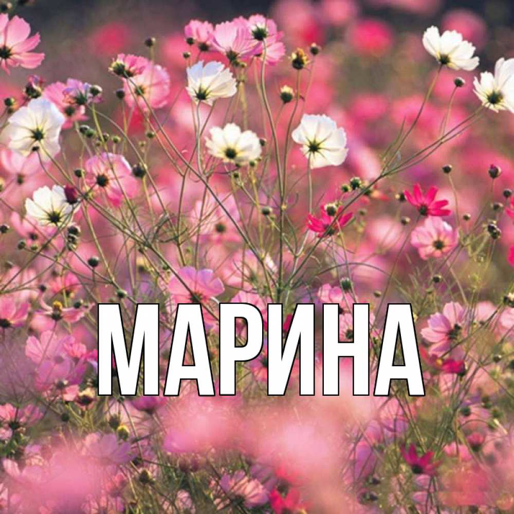 Открытка на каждый день с именем, Марина Главная красиво 1 Прикольная открытка с пожеланием онлайн скачать бесплатно 