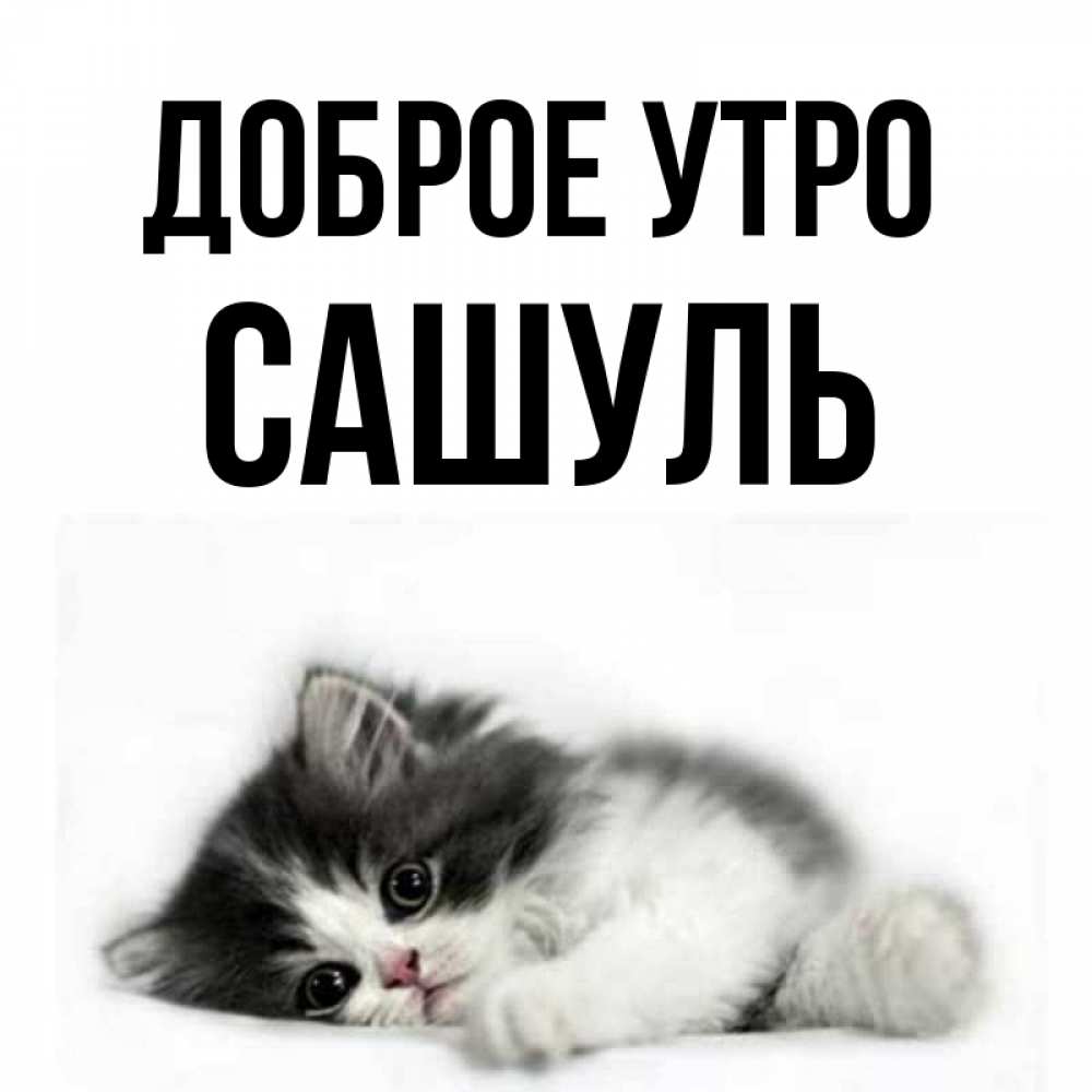 Доброе утро сашуля картинки