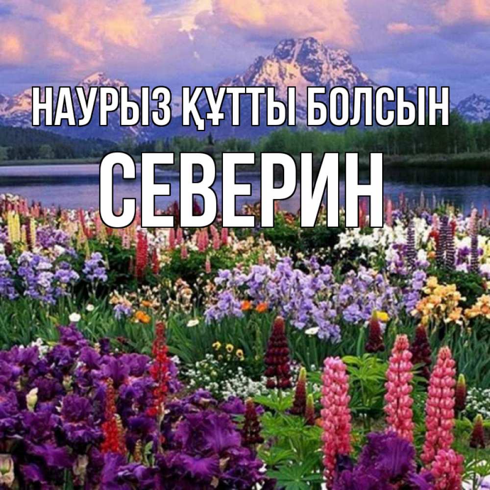 Открытка на каждый день с именем, Северин Наурыз құтты болсын наурыз Прикольная открытка с пожеланием онлайн скачать бесплатно 