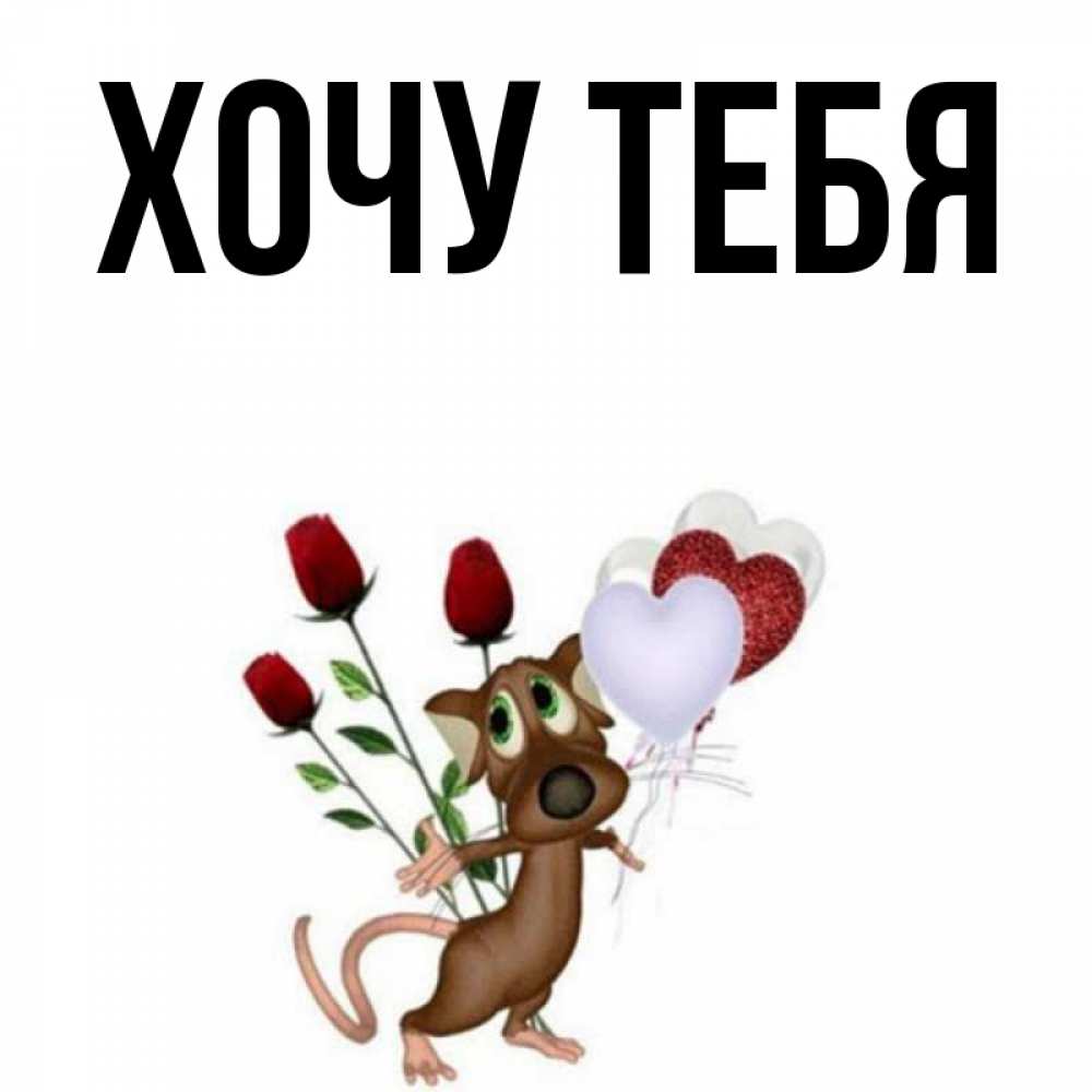 Открытка на каждый день с именем, Хочу-тебя Главная песик с шариками в форме сердец Прикольная открытка с пожеланием онлайн скачать бесплатно 