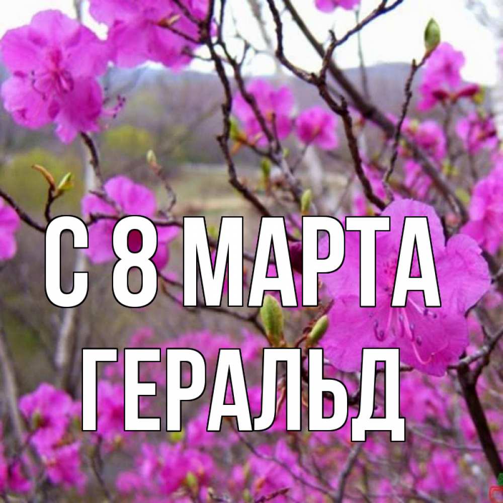 Открытка на каждый день с именем, Геральд С 8 МАРТА международный женский день Прикольная открытка с пожеланием онлайн скачать бесплатно 
