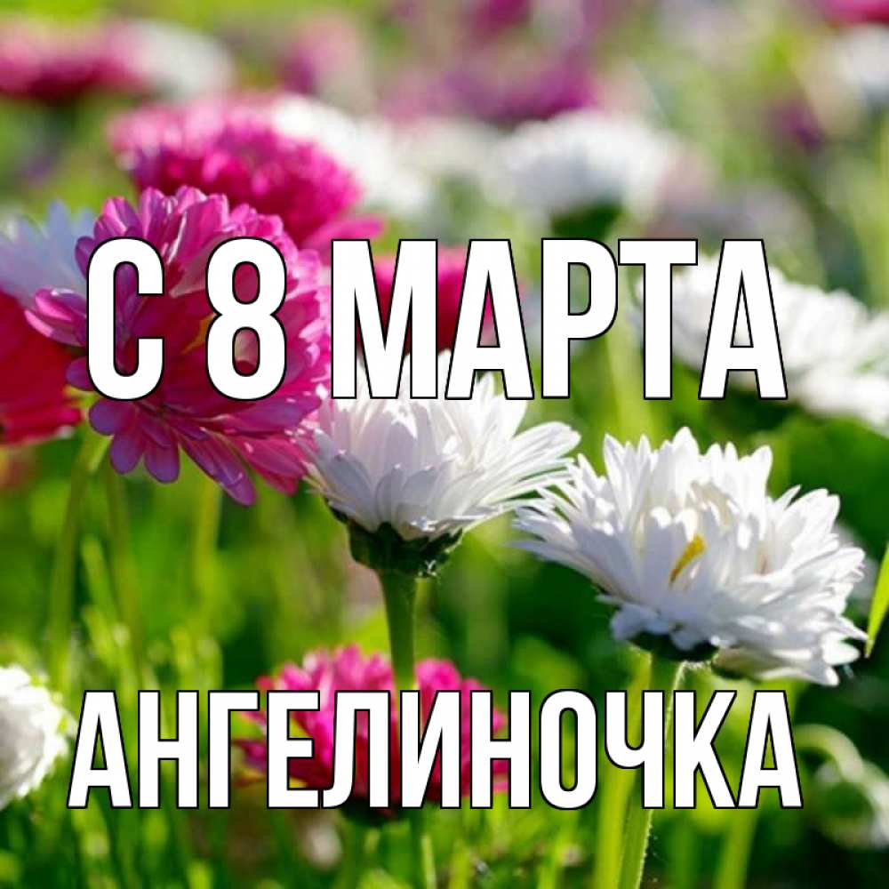 Открытка на каждый день с именем, Ангелиночка С 8 марта международный женский день 1 Прикольная открытка с пожеланием онлайн скачать бесплатно 