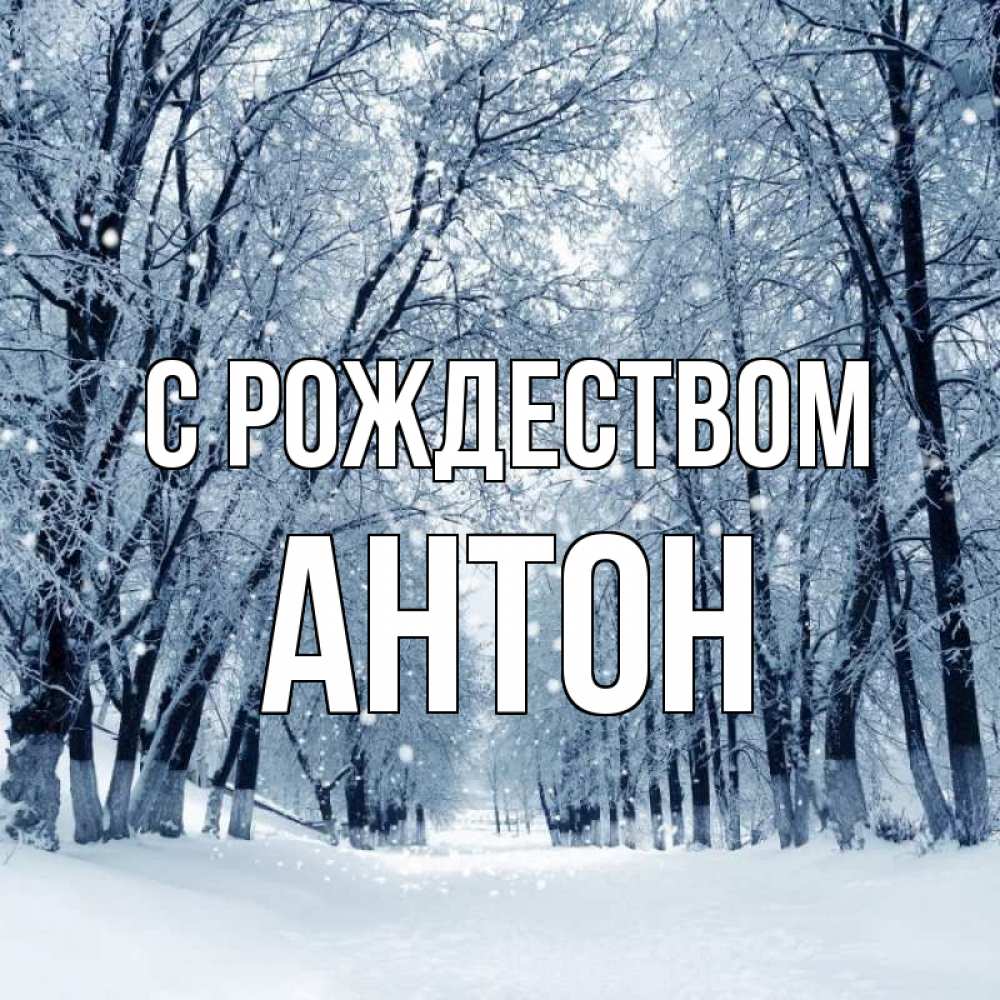 Открытка на каждый день с именем, Антон С рождеством снег, лес, парк Прикольная открытка с пожеланием онлайн скачать бесплатно 