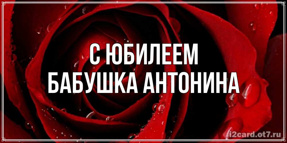 Открытка на каждый день с именем, Бабушка-Антонина С юбилеем крупная бордовая роза Прикольная открытка с пожеланием онлайн скачать бесплатно 