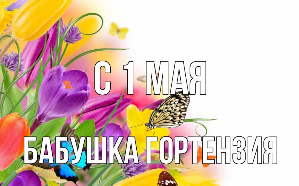 Открытка на каждый день с именем, Бабушка-Гортензия С 1 мая С 1 мая Прикольная открытка с пожеланием онлайн скачать бесплатно 