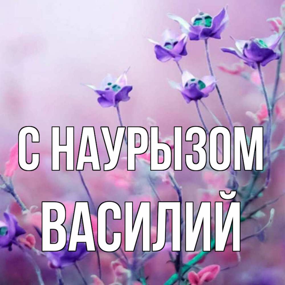 Открытка на каждый день с именем, Василий С наурызом международный женский день 2 Прикольная открытка с пожеланием онлайн скачать бесплатно 