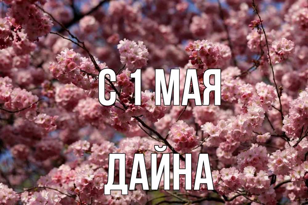 Открытка на каждый день с именем, Дайна С 1 мая С 1 мая Прикольная открытка с пожеланием онлайн скачать бесплатно 