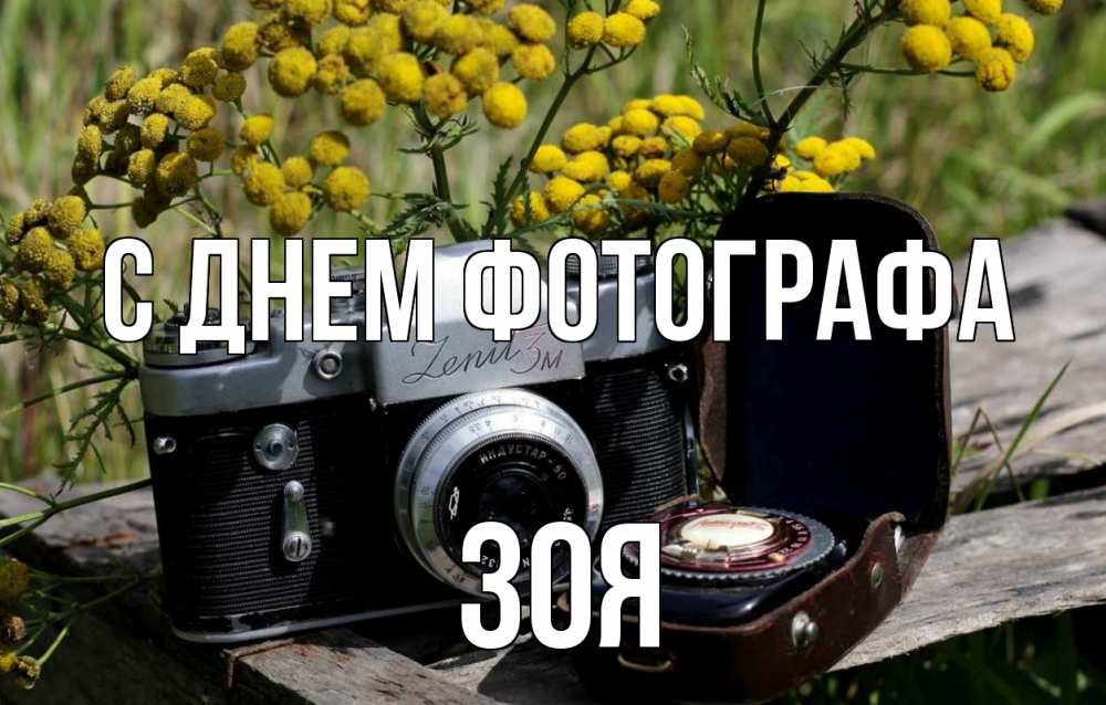 Открытка на каждый день с именем, Зоя С днем фотографа с днем фотографа Прикольная открытка с пожеланием онлайн скачать бесплатно 