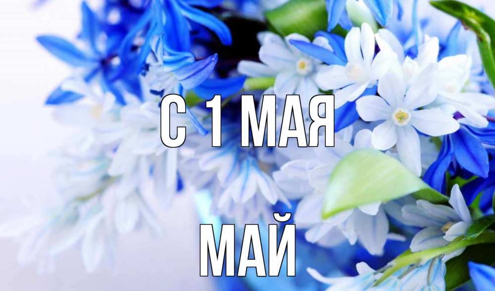 Открытка на каждый день с именем, Май С 1 мая С 1 мая Прикольная открытка с пожеланием онлайн скачать бесплатно 