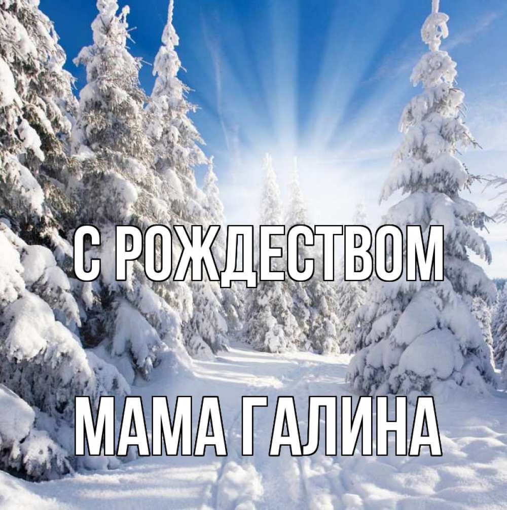 Открытка на каждый день с именем, Мама-Галина С рождеством зима, лес Прикольная открытка с пожеланием онлайн скачать бесплатно 