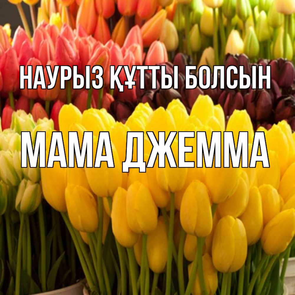 Открытка на каждый день с именем, Мама-Джемма Наурыз құтты болсын цветы Прикольная открытка с пожеланием онлайн скачать бесплатно 