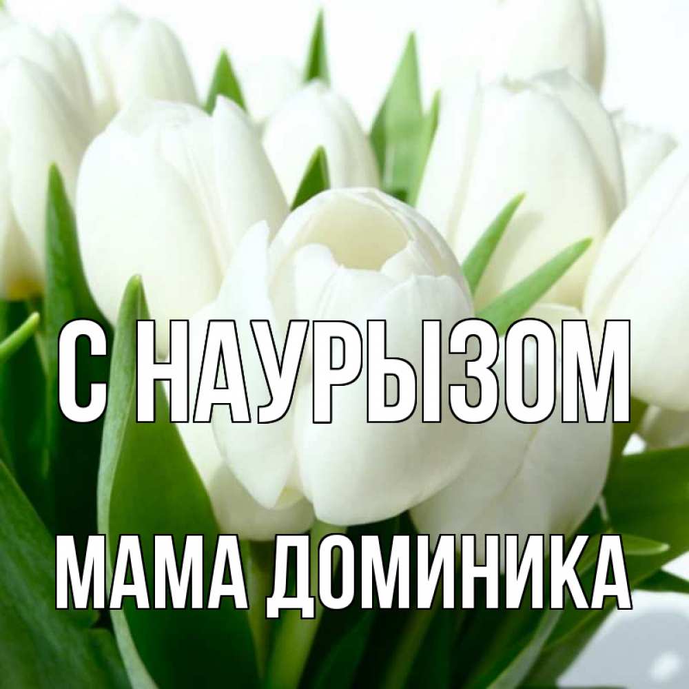 Открытка на каждый день с именем, Мама-Доминика С наурызом цветы Прикольная открытка с пожеланием онлайн скачать бесплатно 