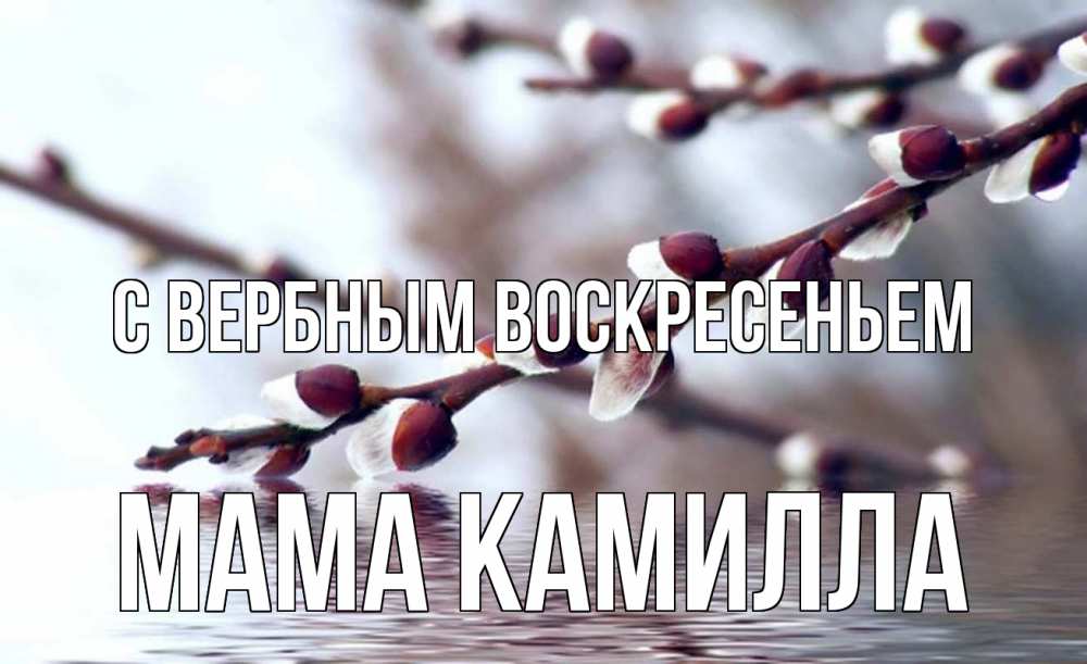 Открытка на каждый день с именем, Мама-Камилла С вербным воскресеньем верба, ручей Прикольная открытка с пожеланием онлайн скачать бесплатно 