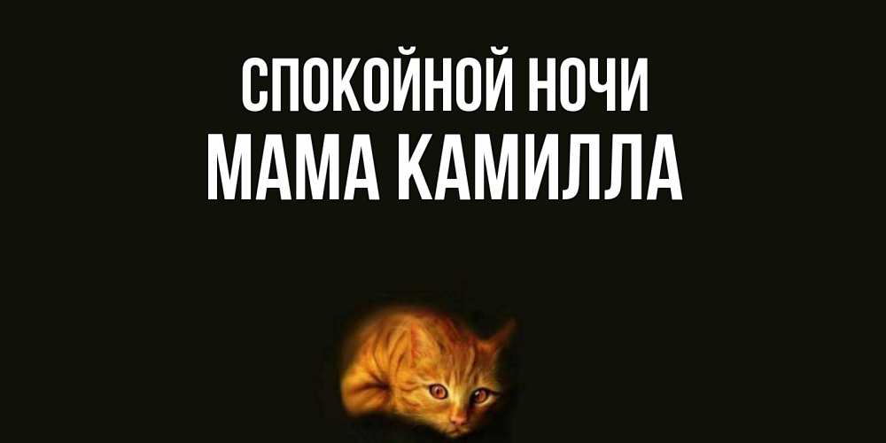Открытка на каждый день с именем, Мама-Камилла Спокойной ночи кот Прикольная открытка с пожеланием онлайн скачать бесплатно 