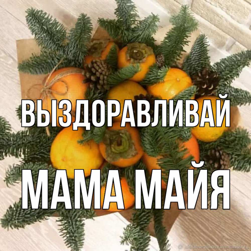 Открытка на каждый день с именем, Мама-Майя Выздоравливай апельсины и хурьма Прикольная открытка с пожеланием онлайн скачать бесплатно 