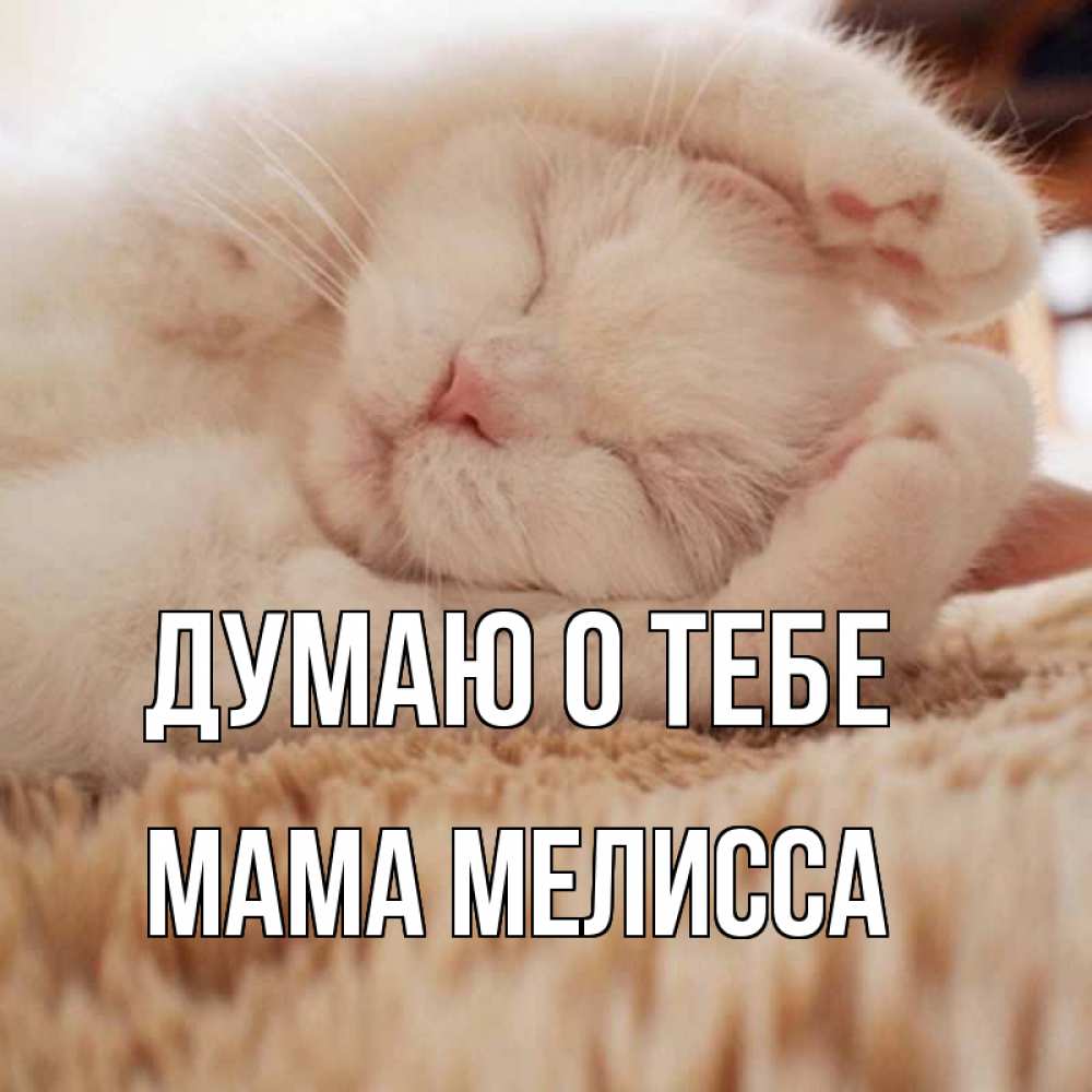 Открытка на каждый день с именем, Мама-Мелисса Думаю о тебе для любимой девушки милота Прикольная открытка с пожеланием онлайн скачать бесплатно 