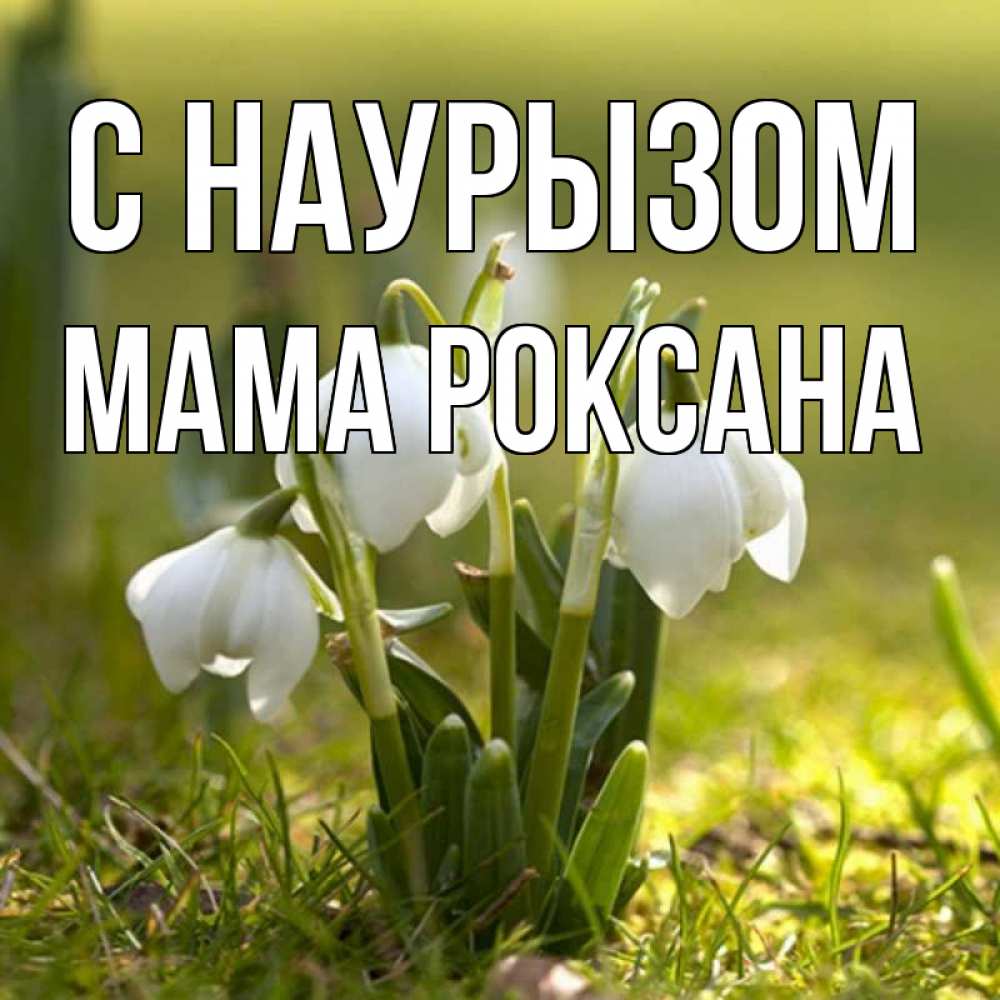 Открытка на каждый день с именем, Мама-Роксана С наурызом ранние цветы 2 Прикольная открытка с пожеланием онлайн скачать бесплатно 
