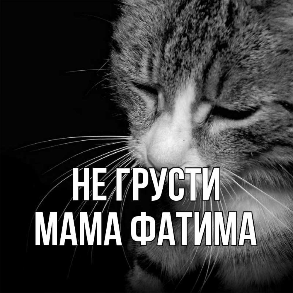 Открытка на каждый день с именем, Мама-Фатима Не грусти грустный котик Прикольная открытка с пожеланием онлайн скачать бесплатно 