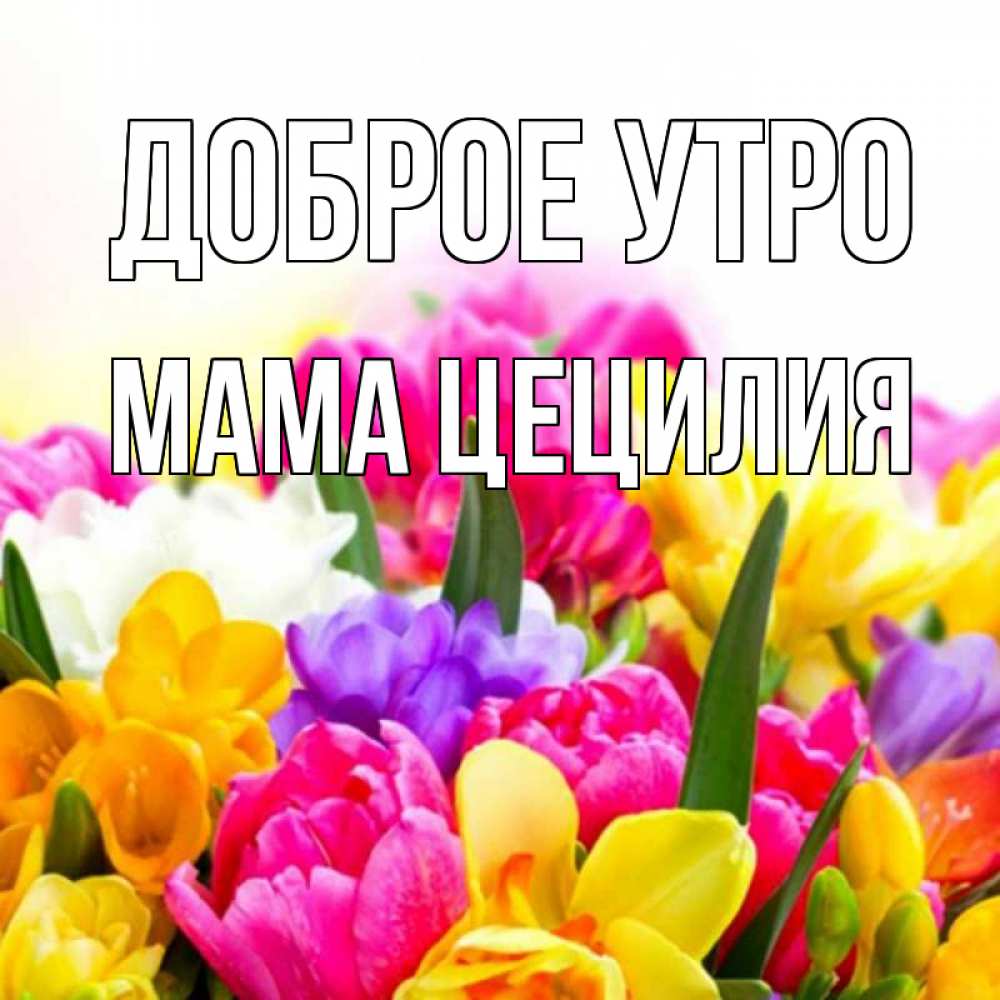 Открытка на каждый день с именем, Мама-Цецилия Доброе утро создать открытку со свое подписью Прикольная открытка с пожеланием онлайн скачать бесплатно 