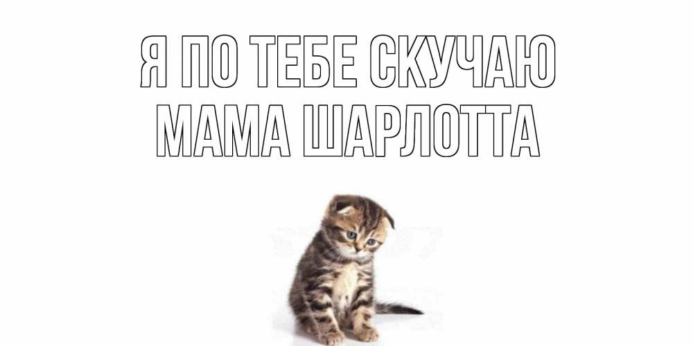 Открытка на каждый день с именем, Мама-Шарлотта Я по тебе скучаю кот Прикольная открытка с пожеланием онлайн скачать бесплатно 