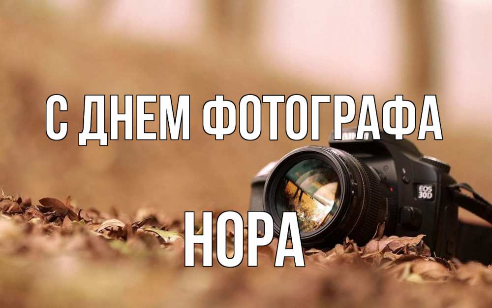 Открытка на каждый день с именем, Нора С днем фотографа с днем фотографа Прикольная открытка с пожеланием онлайн скачать бесплатно 