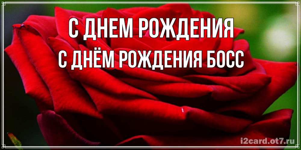 Открытка на каждый день с именем, С-Днём-Рождения-Босс С днем рождения розочка очень красивая Прикольная открытка с пожеланием онлайн скачать бесплатно 