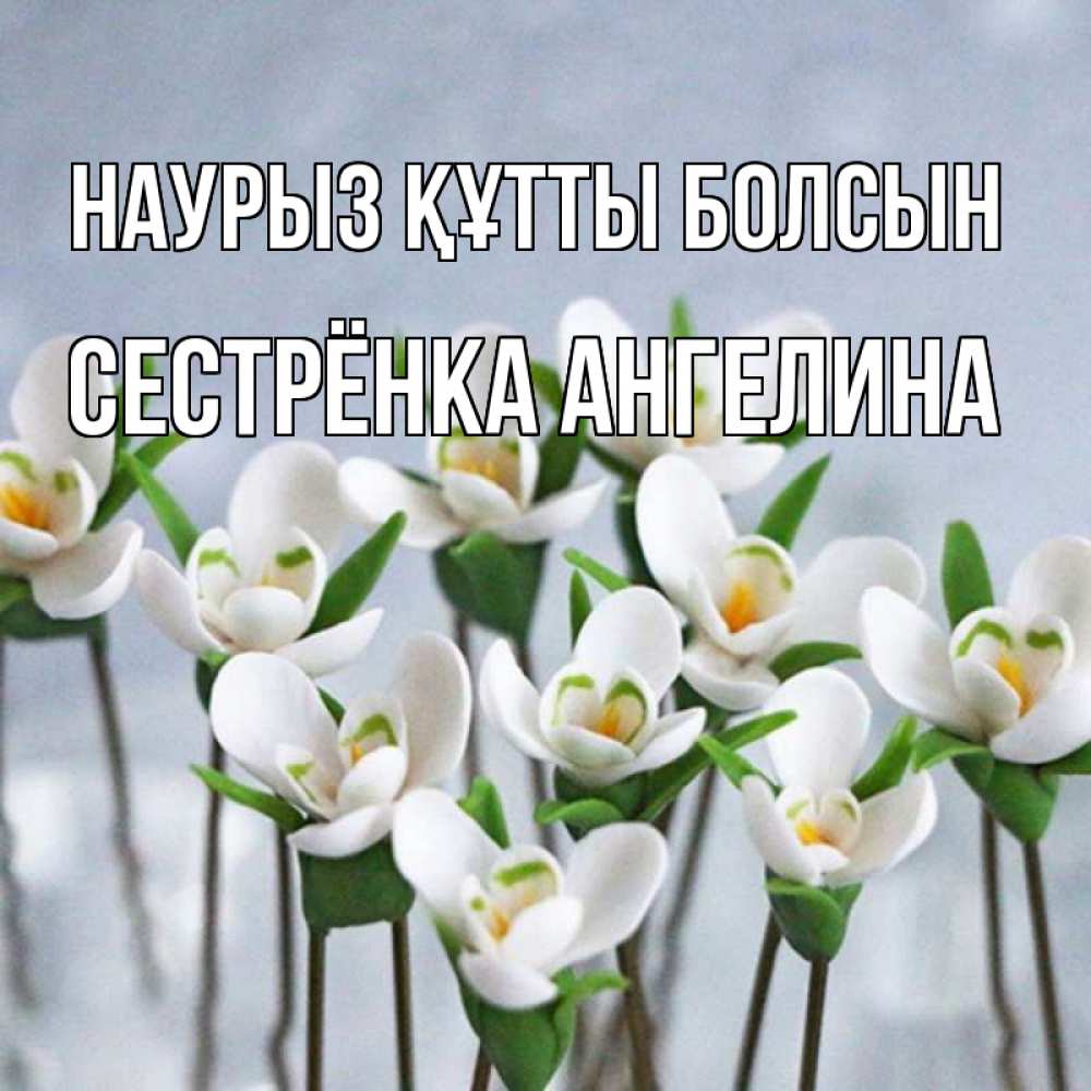 Открытка на каждый день с именем, Сестрёнка-Ангелина Наурыз құтты болсын весенние цветы Прикольная открытка с пожеланием онлайн скачать бесплатно 